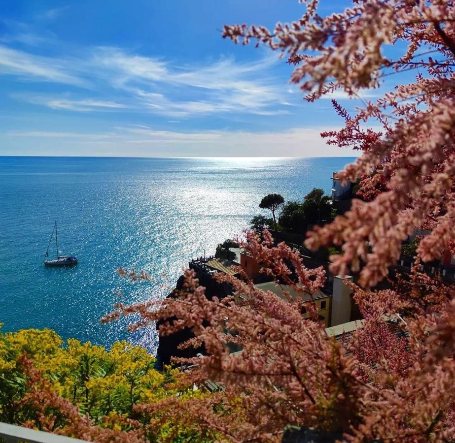 Maison Exotique - Riomaggiore / Cinque Terre / Beach Travel Екстер'єр фото
